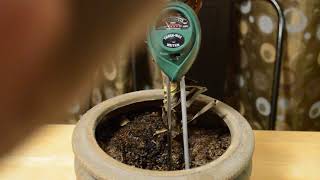 3 Way Soil Meter Test For Moisture Light And PHAcidity Gardening Tool [upl. by Hearn]