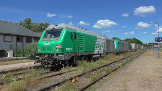 RheintalUmleiter 001 mit DIESELPOWER 2024 in Lauterbourg [upl. by Ob264]