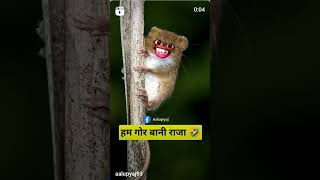 🤪हम गोरे बानी राजा😜 video comedy [upl. by Tildi]