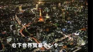 東京上空からの夜景 東京夜景 Tokyo night view [upl. by Hsara63]