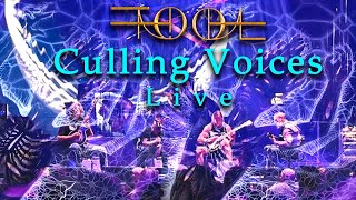 TOOL CULLING VOICES LIVE 2022 Remastered Sound MultiCam [upl. by Kaule]