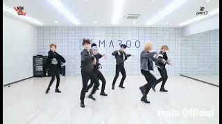 SF9  quotSaviorquot Dance Practice Magic Dance [upl. by Atiuqrahc]