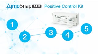 ZymoSnap ALP Positive Control Kit with EnSURE® Touch  How to use [upl. by Bowie]