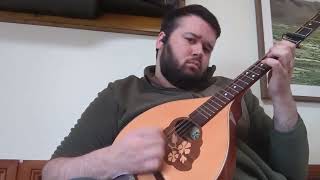 The Blacksmith  Irish Bouzouki [upl. by Pool]