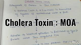 Cholera ToxinRevision seriesBasic science [upl. by Randie]