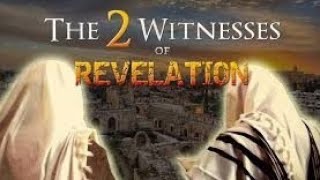 Who Are The 2 Witnesses  Revelation Chapter 11 The Two Witnesses Protected by God [upl. by Griffie]