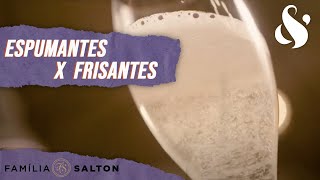 Qual a diferença entre os espumantes e frisantes  Curiosidades do Vinho [upl. by Baryram]