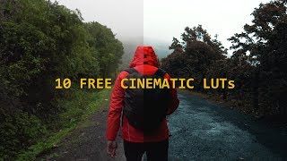 LUT PACK  10 FREE Cinematic LUTs [upl. by Asilaj596]