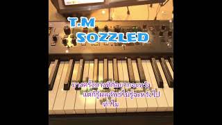 Tm  sozzled Mixtape [upl. by Gratia]