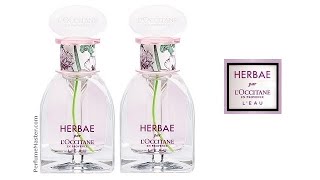 Herbae par LOccitane Leau New Perfume [upl. by Daggett]