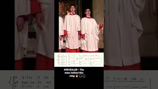 Miserere Helium  Allegri music choir singer balloon masschoir cover [upl. by Leverett]