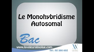 Science  Le Monohybridisme autosomal  Bac Sciences [upl. by Adnolrehs]