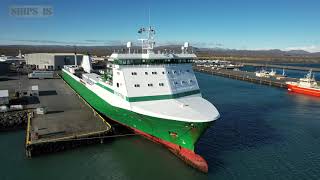 Unloading RORO CARGO FERRY in Thorlakshofn Iceland Arrived from Hirtshals Denmark [upl. by Cirdet]