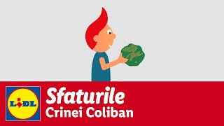 Care sunt alimentele care produc gaze și colici la copii • Sfaturile Crinei Coliban [upl. by Vogeley92]