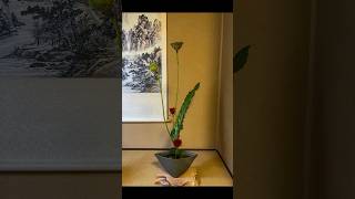 🪷IKEBANA  Japanese flower arrangement｜生け花 新風体  華道俳優 新井敬太 [upl. by Corson]