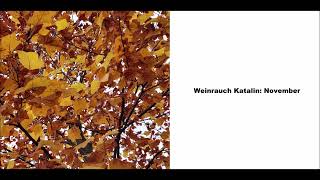 Weinrauch Katalin November [upl. by Ailecara]