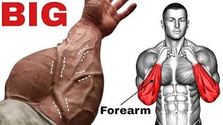 9 PERFECT EXERCISES FOREARM WORKOUT  How to get Big Forearms  Grow your Wrist Thicker [upl. by Douty]