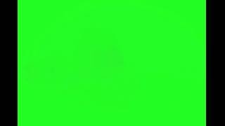 Hand gun Muzzle Flash Green Screen [upl. by Airtemad]