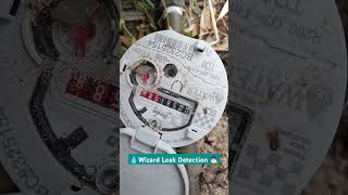 Acoustic Leak Detection Singleton WA 6175 mandurah plumbing wizardleakdetection [upl. by Kay]