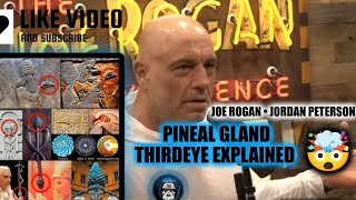 Joe Rogan and Jordan Peterson Discuss Pineal Gland  Third Eye [upl. by Deena]