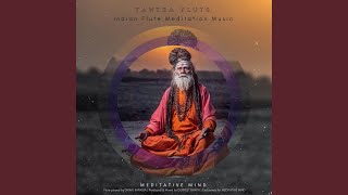 Tantra Flute Indian Flute Meditation Music [upl. by Gnim]