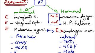 Assessment And Summary Of Amenorrhea OBGYN Made Easy [upl. by Nikos288]