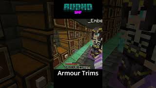 Armor Trims minecraft minecraftgameplay gaming smp minecraftvideos [upl. by Cordova]