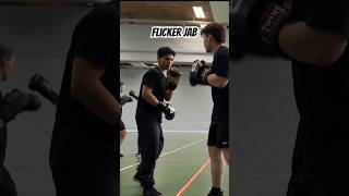 JKD Training  Using the Flicker Jab for high mid or low attacks jkd jeetkunedo shorts [upl. by Threlkeld]