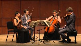 Beethoven String Quartet Op 132 in A Minor  Ariel Quartet full [upl. by Wrench]