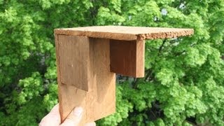 Build a Birdhouse for Ledge Nesters GardenFork [upl. by Akym779]