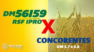 Cultivar de Soja DM 56I59 RSF IPRO X Concorrentes [upl. by Tlevesoor]