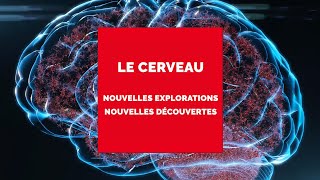 Fondamental  À la recherche du Futur  EP3  Les recherches sur le cerveau [upl. by Oina726]