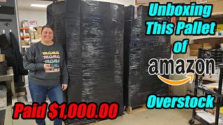 Unboxing a Pallet of Brand New Amazon overstock that bought for 100000 CHECK OUT WHAT WE GOT [upl. by Nolek223]