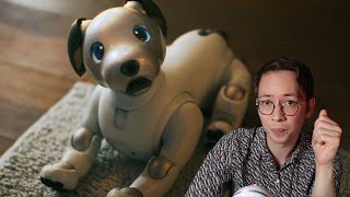 Could You Kill Aibo the Robot Dog [upl. by Mackintosh]