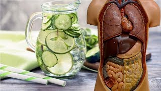 See What Happen When You Drink Cucumber Water Daily  Cucumber Water Health Benefits and How to [upl. by Wennerholn]