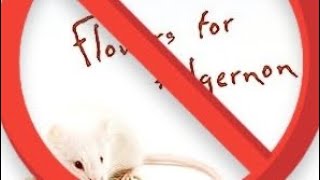 Flowers for Algernon Sucks [upl. by Arammat]