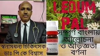 Ledum pal হোমিওপ্যাথি ঔষধ সম্পূর্ণ বাংলায় আলোচনা  Ledum Pal uses amp Symptom [upl. by Anahahs]