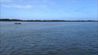 Orcas in Tillamook Bay [upl. by Naik]