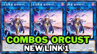 COMBOS ORCUST  NEW SUPPORT YUGIOH LINK 1 BROKEN [upl. by Nasya]