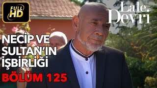 Lale Devri 125 Bölüm  Full HD Tek Parça  Necip ve Sultanın İşbirliği [upl. by Tingley]