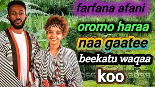 farfana afani oromo naa gatee bekatu waqaa koo [upl. by Gilburt]