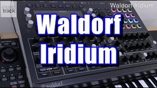 Waldorf Iridium Demo amp Review [upl. by Toffey133]