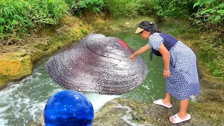 Beautiful woman salvaging big clams and oysters containing rare pearls that amaze the world [upl. by Yrtua]