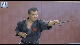 Sai Kiso Ichi  Kobudo avec Zenei Oshiro [upl. by Apthorp]