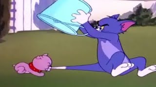 Tom and Jerry  Thats My Pup 1953  TampJ Movie [upl. by Abdel]