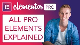 Elementor Pro  All The Elements Explained [upl. by Enyallij]