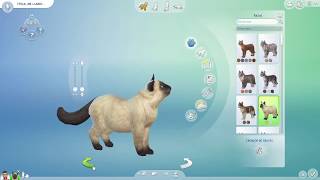 The Sims 4 dogs and cats  EVERY CAT BREED ON THE GAME [upl. by Mariko]