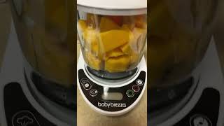 Easily steam and blend healthy delicious baby food recipes in the One Step Food Maker Deluxe [upl. by Delamare]