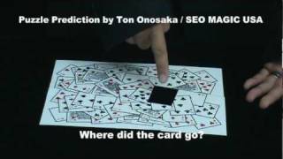 Puzzle Prediction by Ton Onosaka  SEO MAGIC USA [upl. by Tran304]