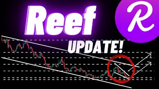 Reef Crypto Coin Update [upl. by Av493]